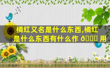 橘红又名是什么东西,橘红是什么东西有什么作 🐋 用